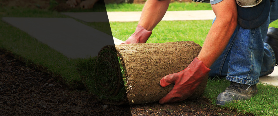 Tappan Landscapers