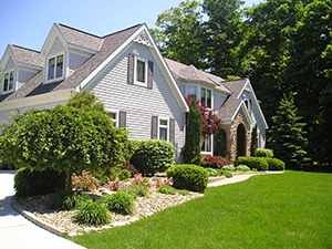 Reducing Overgrown Plants